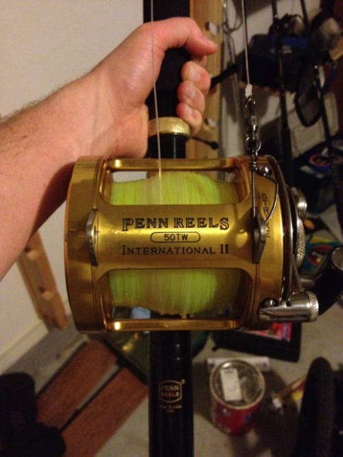 Reels - PENN REELS 50TW INTERNATIONAL II (brand new